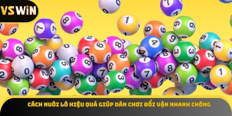 Cách nuôi lô hiệu quả